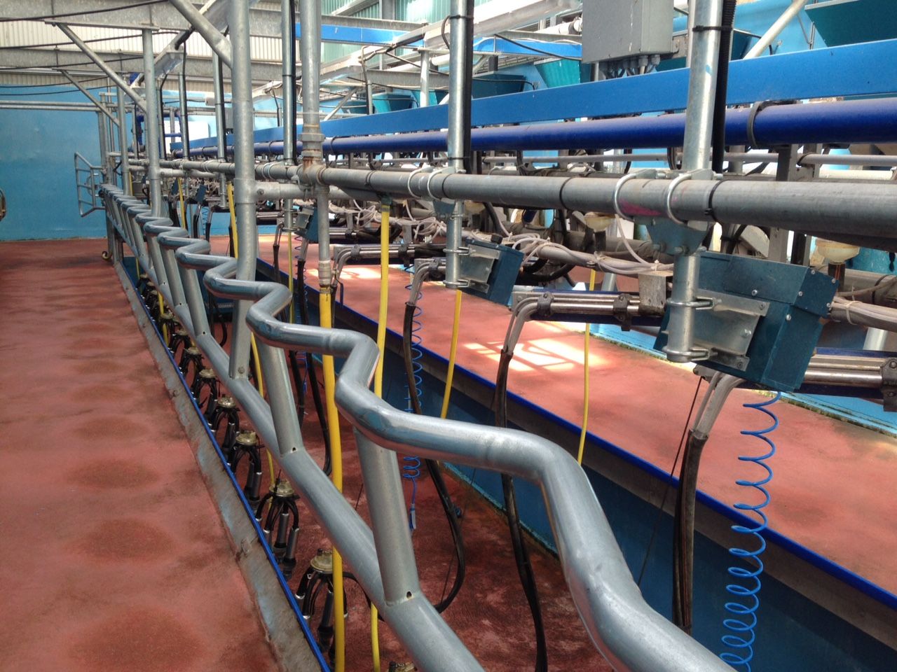 Time to play 'hard ball' with dairy processors as strike action looms