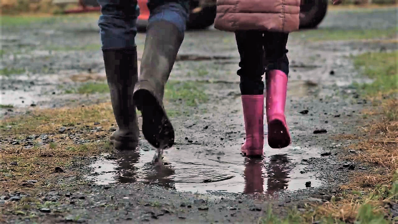 Agri industry is still 'failing to address farm safety adequately' - NFUS VP