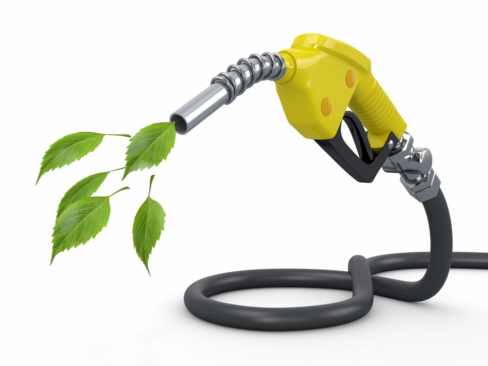 EU must not turn its back on biofuels says Copa-Cocega