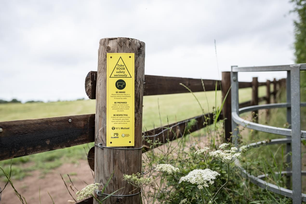 New signs raise awareness of walking through fields with cattle