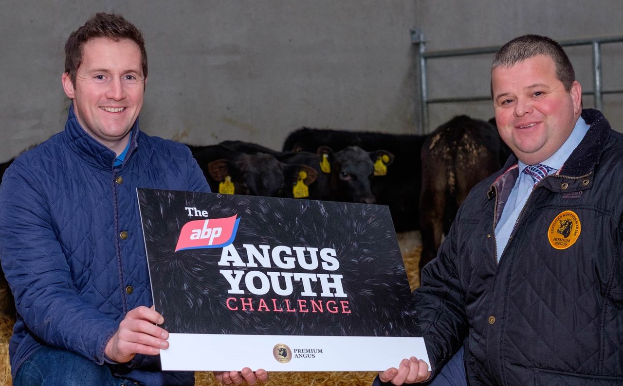 New practical competition gives teens chance to win calves and cash