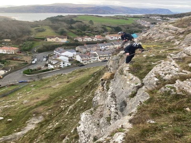 Watch: Abseiling rescue officer saves stranded ewe with one hand