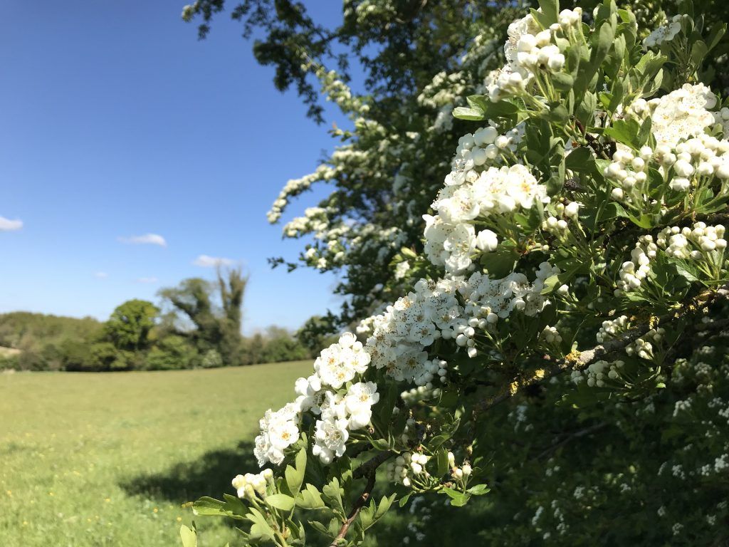 Deadline approaching for Farming with Nature Transition Scheme