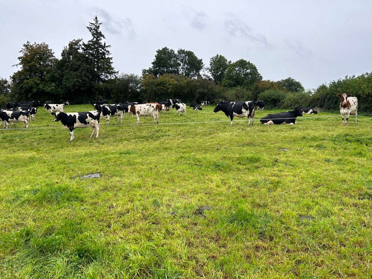 Challenge with grazing continues across the country