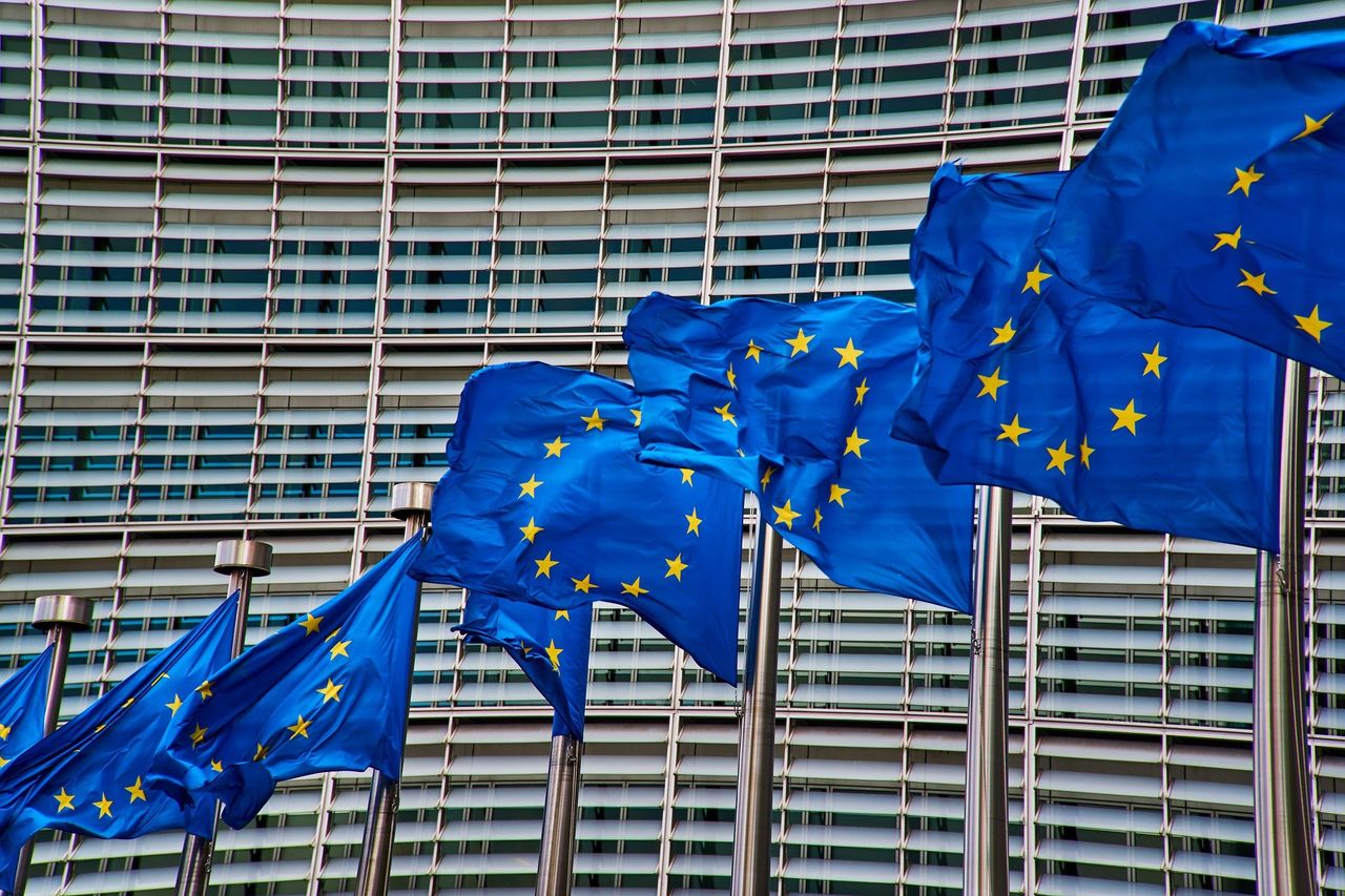 NI: Decision to halt border checks ‘unhelpful’ says EU