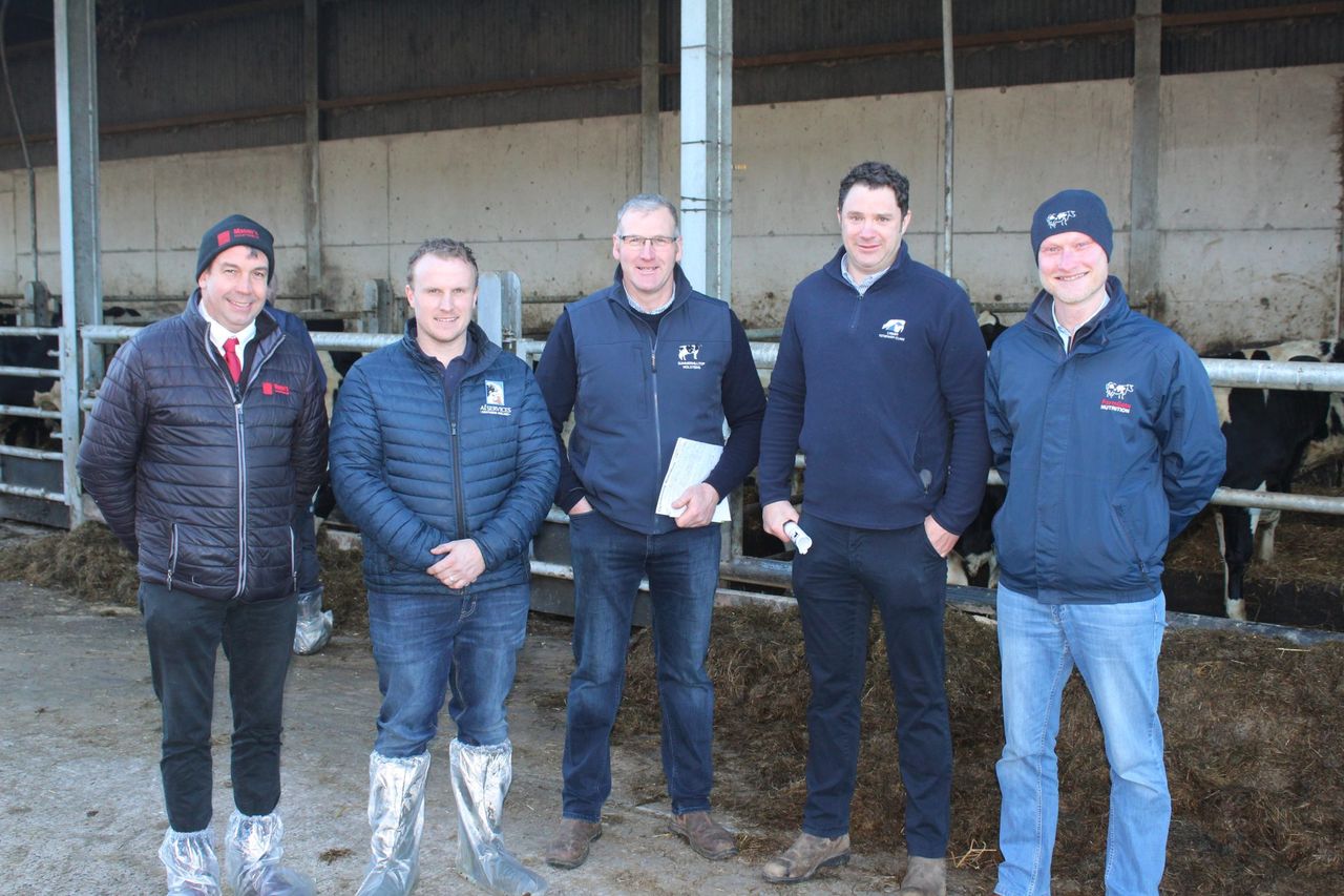 Breeding for components on Down dairy farm
