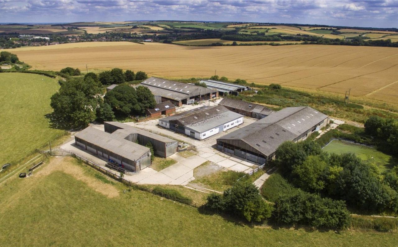 UK farmers told branding will combat cheap meat after Brexit
