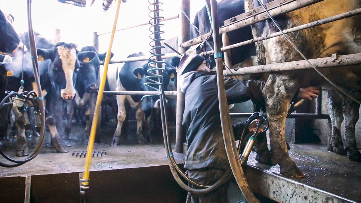 Matchmaking service seeks to pair 'angels' with farmers in need
