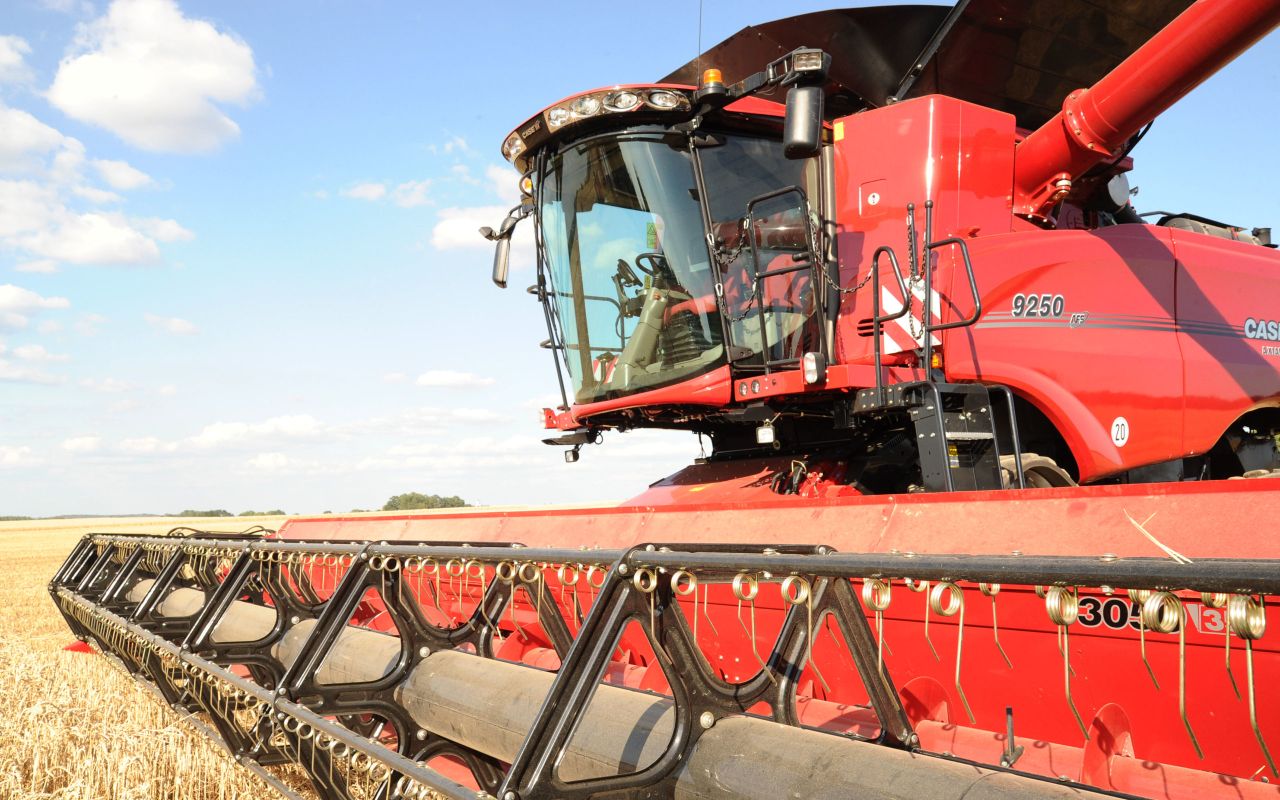 Machinery Focus: Mushrooms and fast horses – the growing technology gap