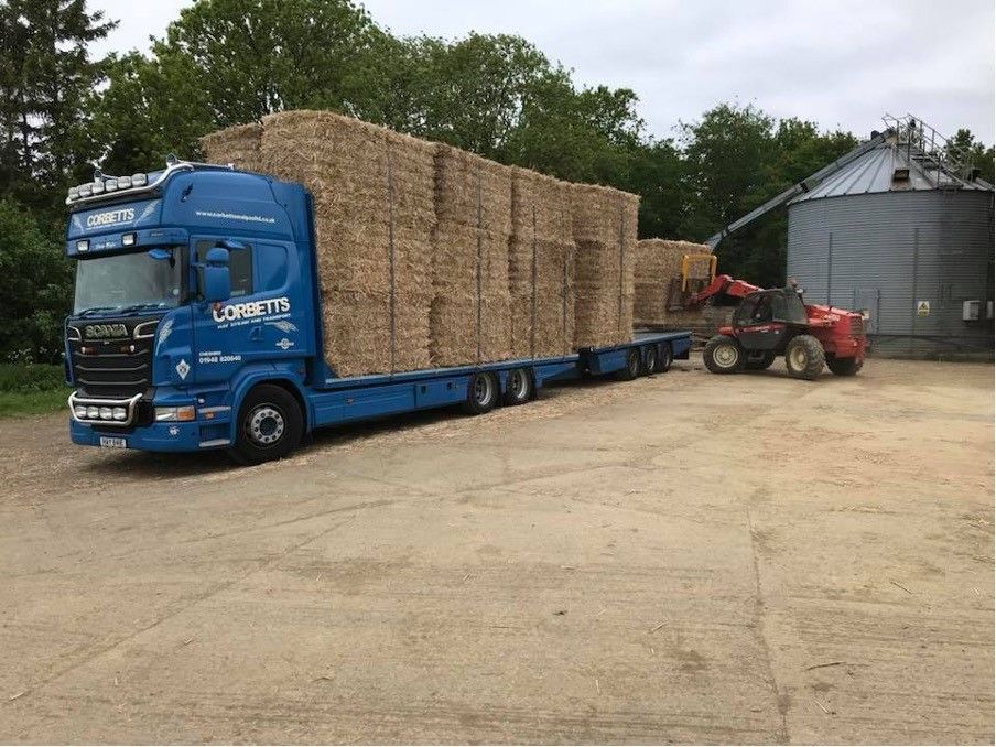 Terravesta farm walk to showcase miscanthus benefits