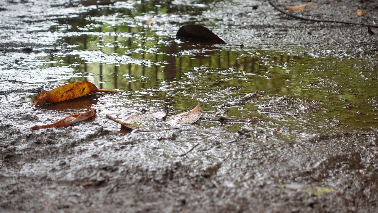 Nationwide weather warnings in place for heavy rainfall