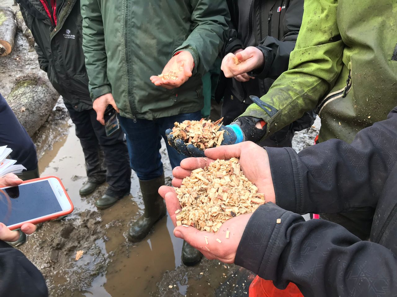 £30,000 awarded to woodchip bedding trial