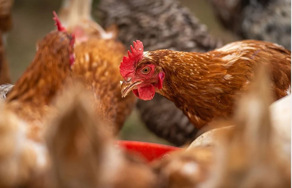 Opinion: Farmers are fast-losing control over their destiny