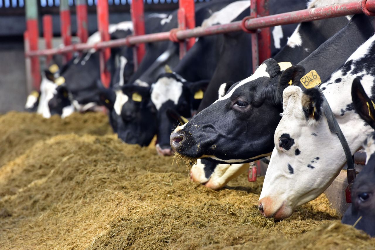 AgriSearch seeks farmers’ views on its work