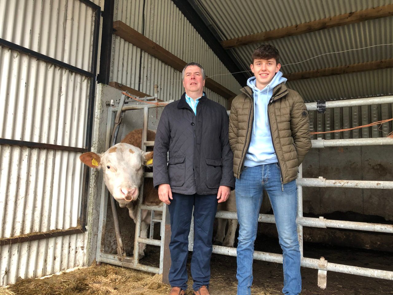 Beef Focus: Sourcing and handling AI bulls at Coney Island Genetics