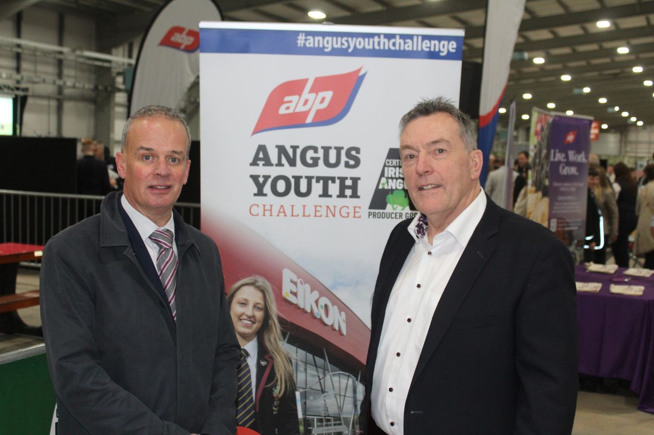 Red meat sector needs ‘young people from every walk of life’ – ABP NI director