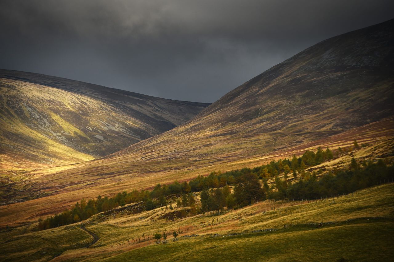 'Biodiversity and food production must be considered in climate change land use discussion' - SLE