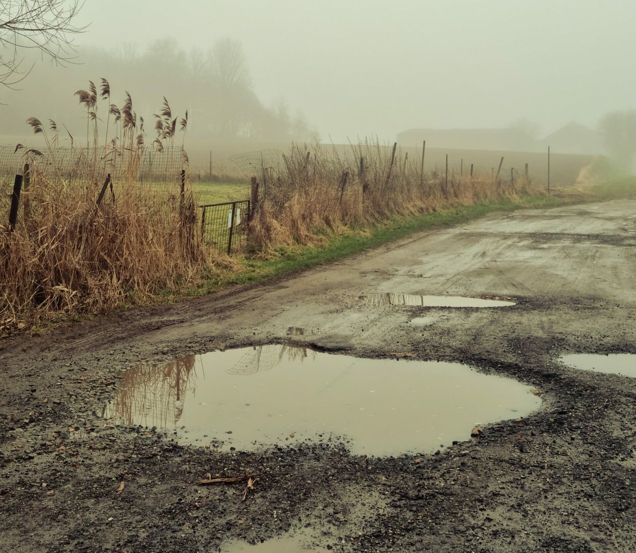 NFU Mutual warns of potential spike in rural road accidents over Easter