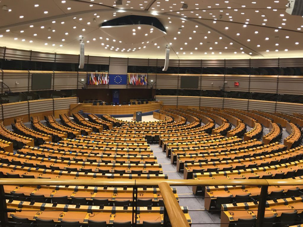 European Parliament inquiry on animal welfare during transport imminent