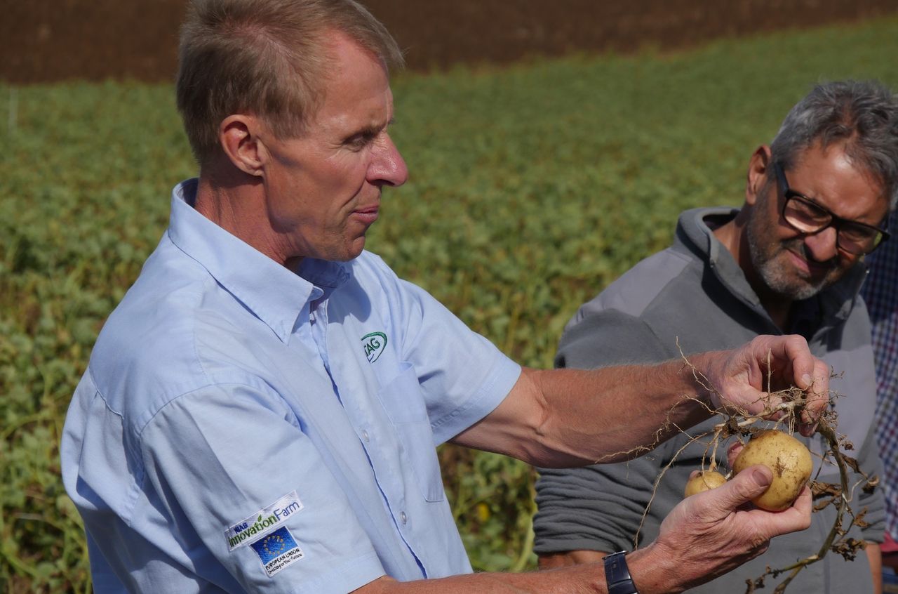 Potential Diquat ban challenges future harvest
