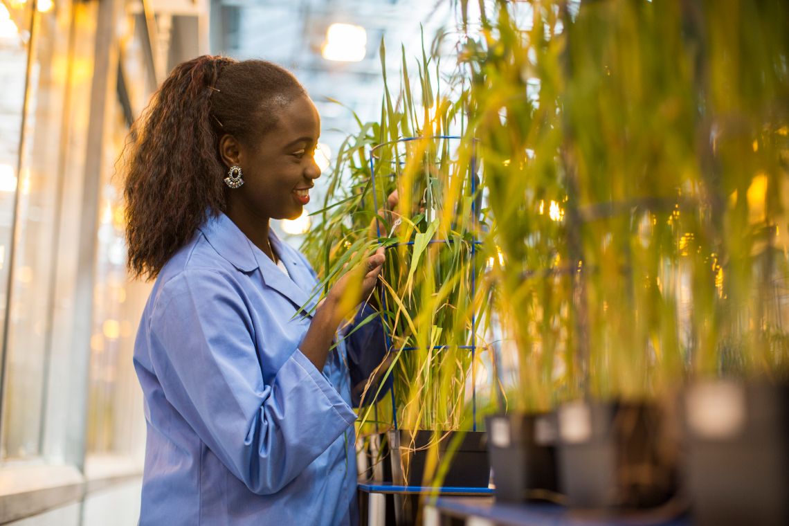 Aberystwyth University receives £9.8m funding boost for crops