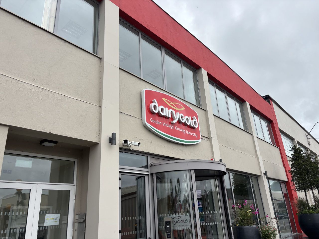 Dairygold’s UK cheese business faces sale and closure