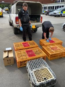 Yorkshire man jailed for 6 breaches of animal protection order