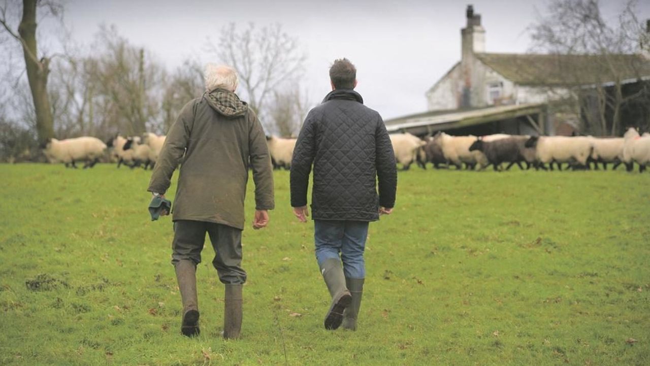 Survey warns that half of British farmers considering quitting in past year