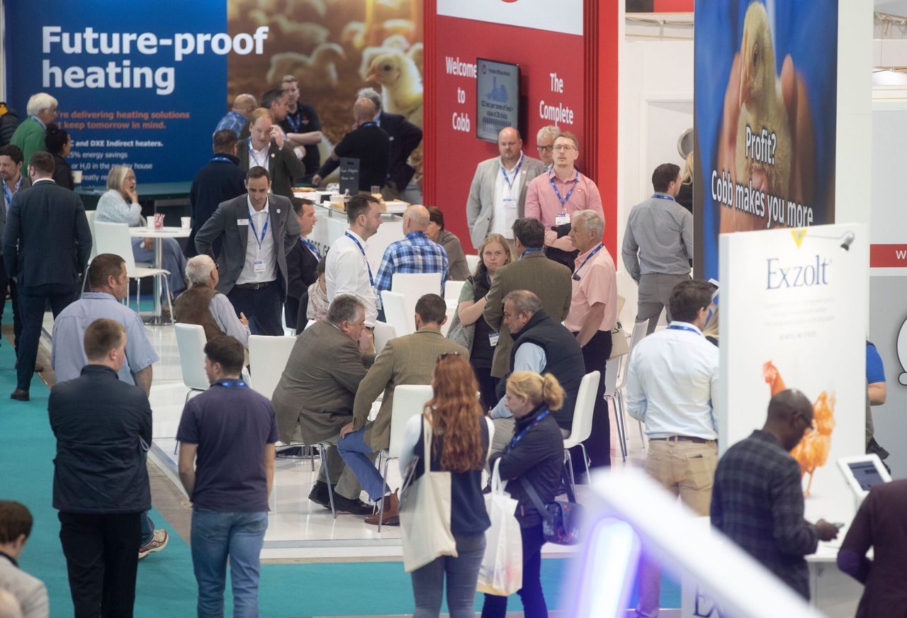 British Pig &amp; Poultry Fair 2024 to feature 'expert advice'