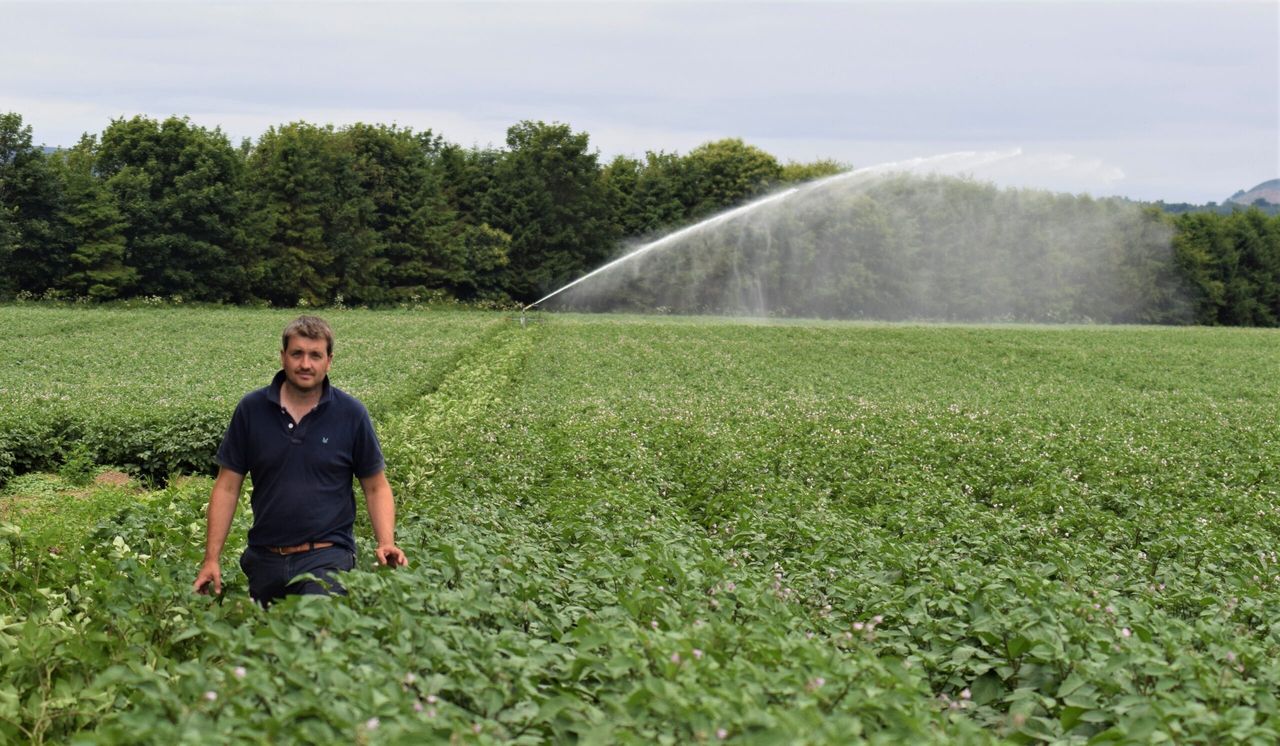 3 weeks without rain: How tech is helping one Perthshire potato farmer hold up