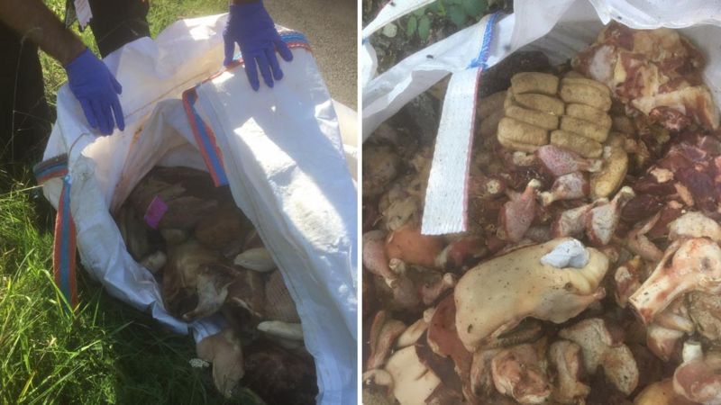 2t of rotting meat dumped in the countryside by fly-tippers