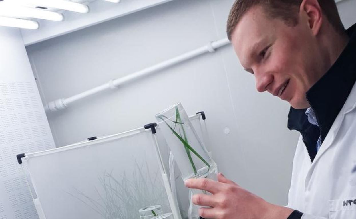 UK aphid project on the agenda of prestigious society