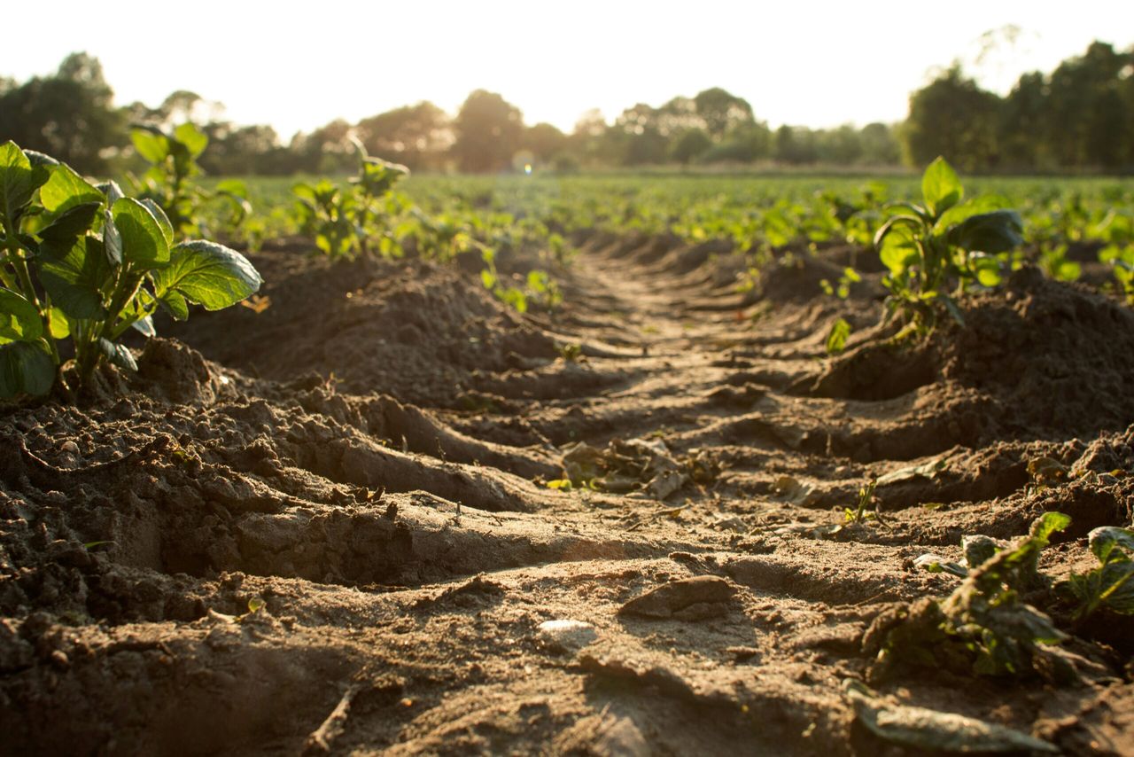 Soil Nutrient Health Scheme final phase opening date confirmed