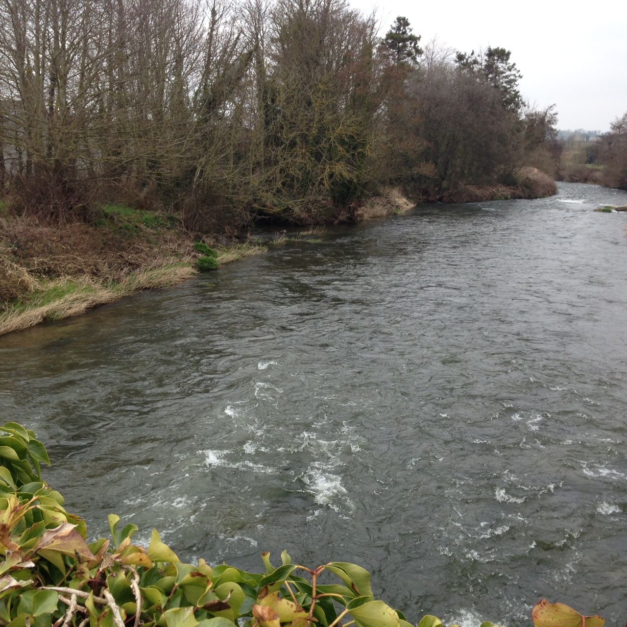 Farmer convicted and fined for polluting a waterway