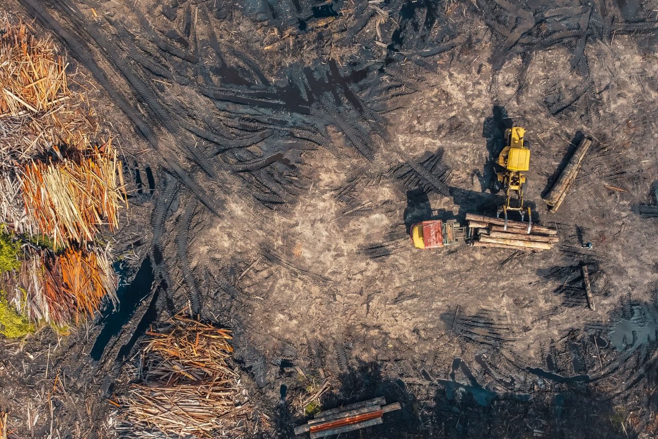 Brazil and 7 other Amazon nations agree anti-deforestation pledge