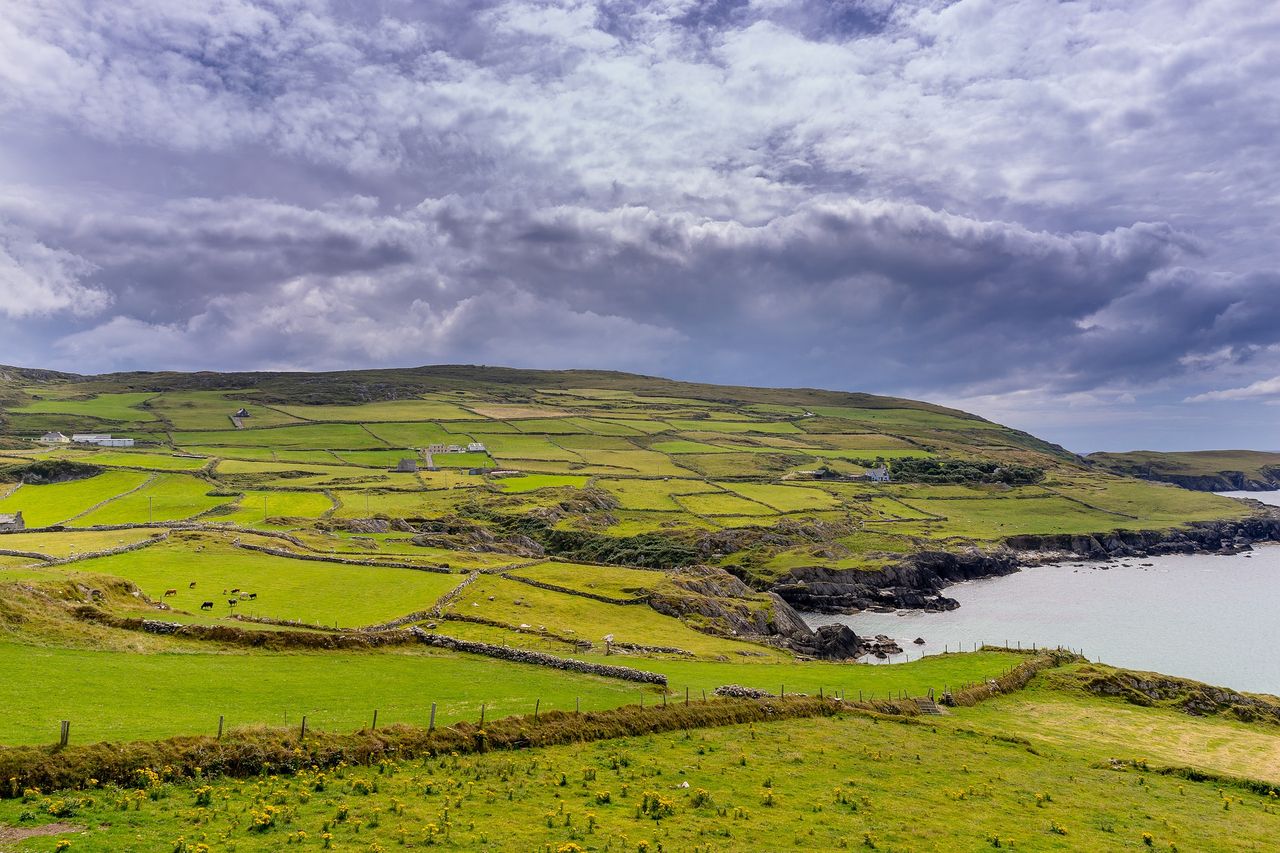 Poots launches £500k rural enterprise scheme