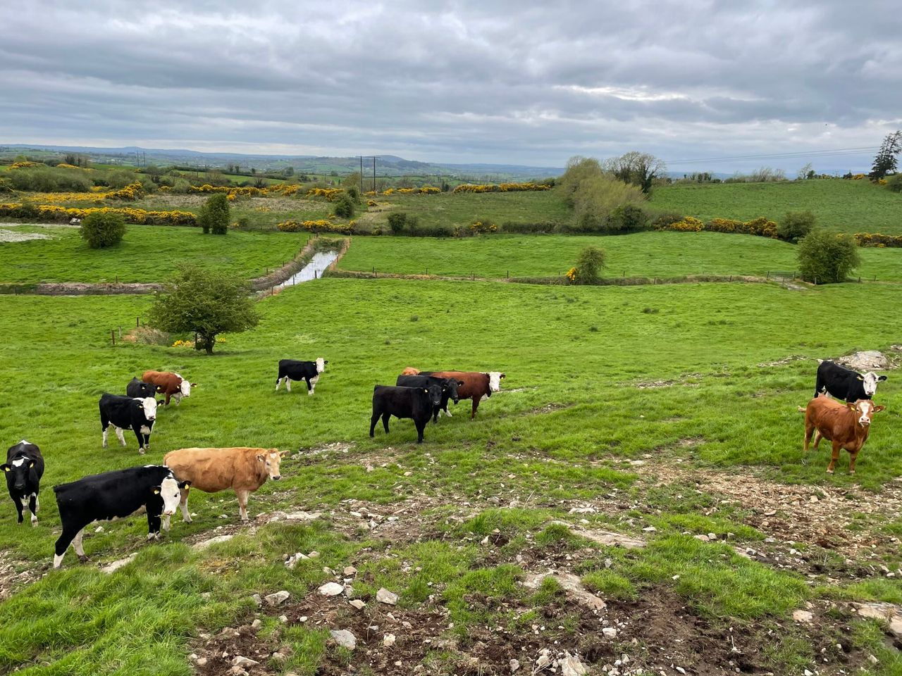51% rise in rural crime in NI ‘disappointing’ – UFU