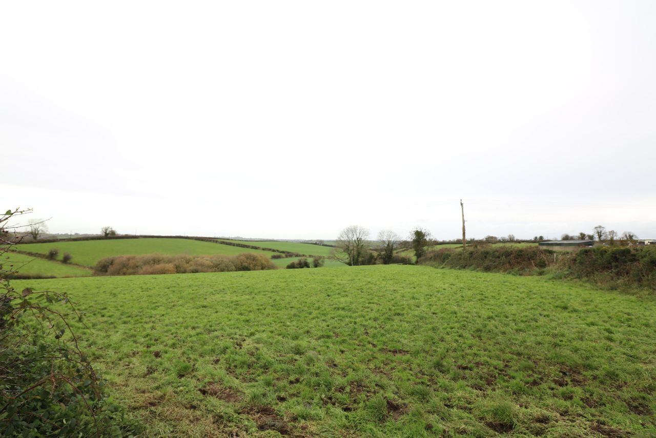 Agricultural land provides 40ac and winter accommodation for livestock