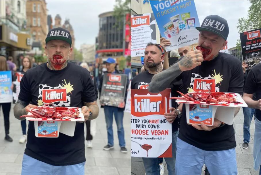 ASA bans vegan 'anti-dairy' ad for offence and distress