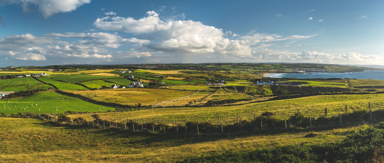 DAERA issues nearly £260m in direct payments to farmers