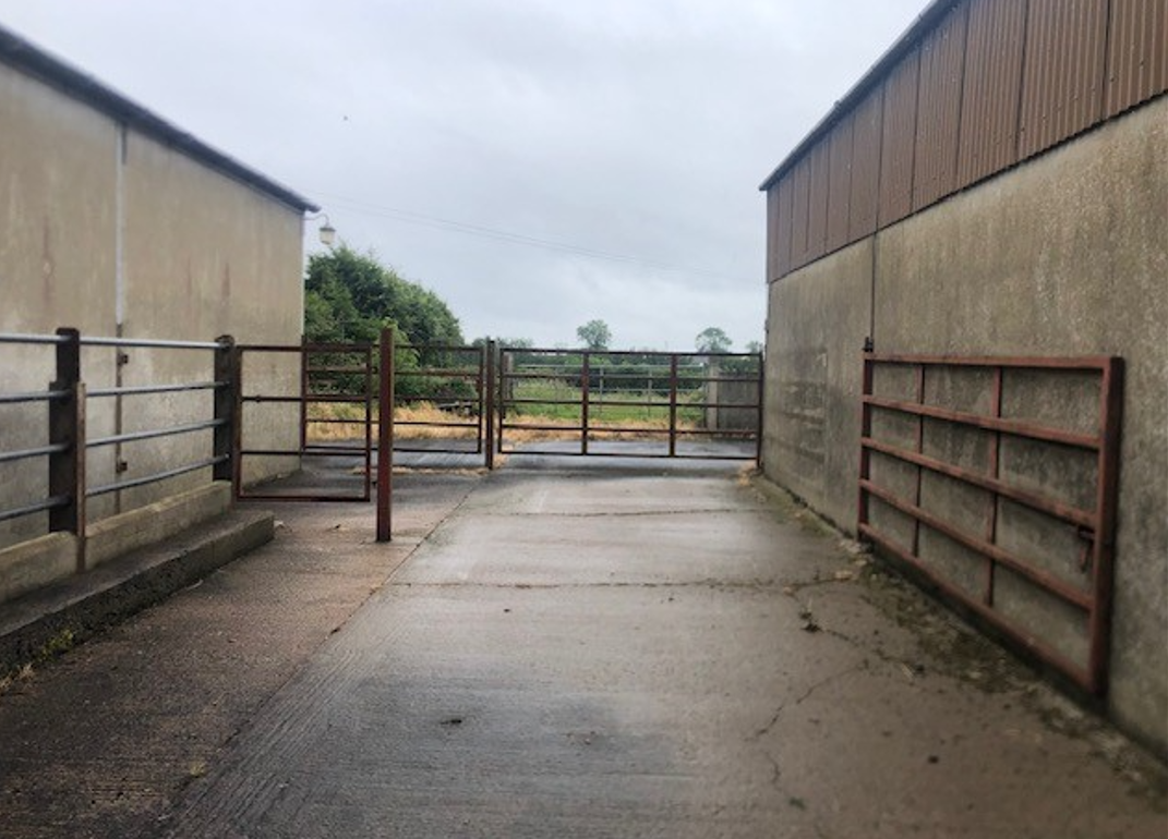 Dairy advice: Analysing your farm performance for 2024