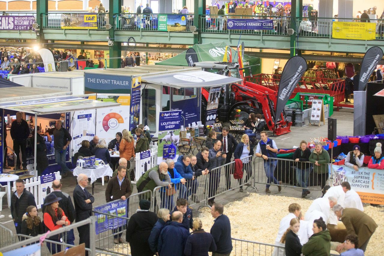 Staffordshire butcher has 'tough job' judging English Winter Fair carcass competitions