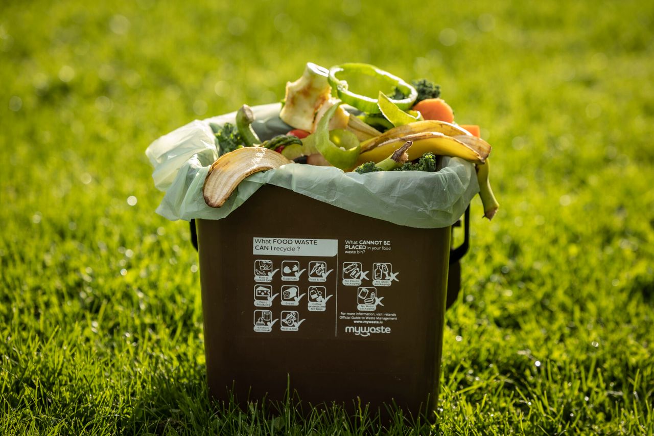 Average household wastes £520 worth of food every year - Aldi