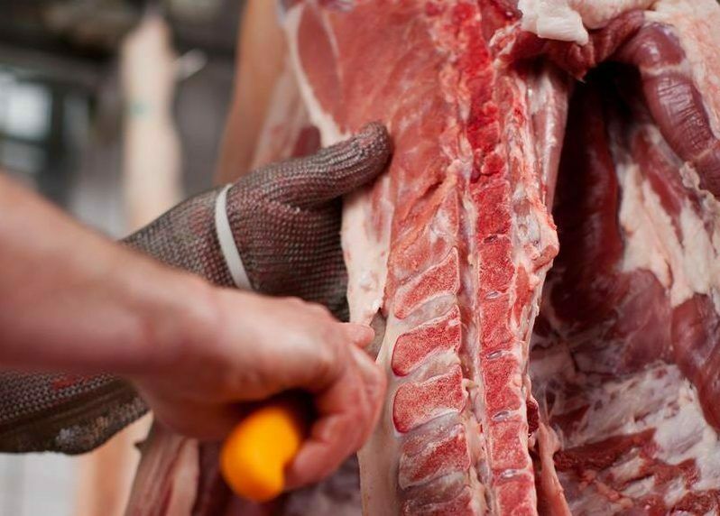 Cattle age deception in Northern Ireland costs farmers money