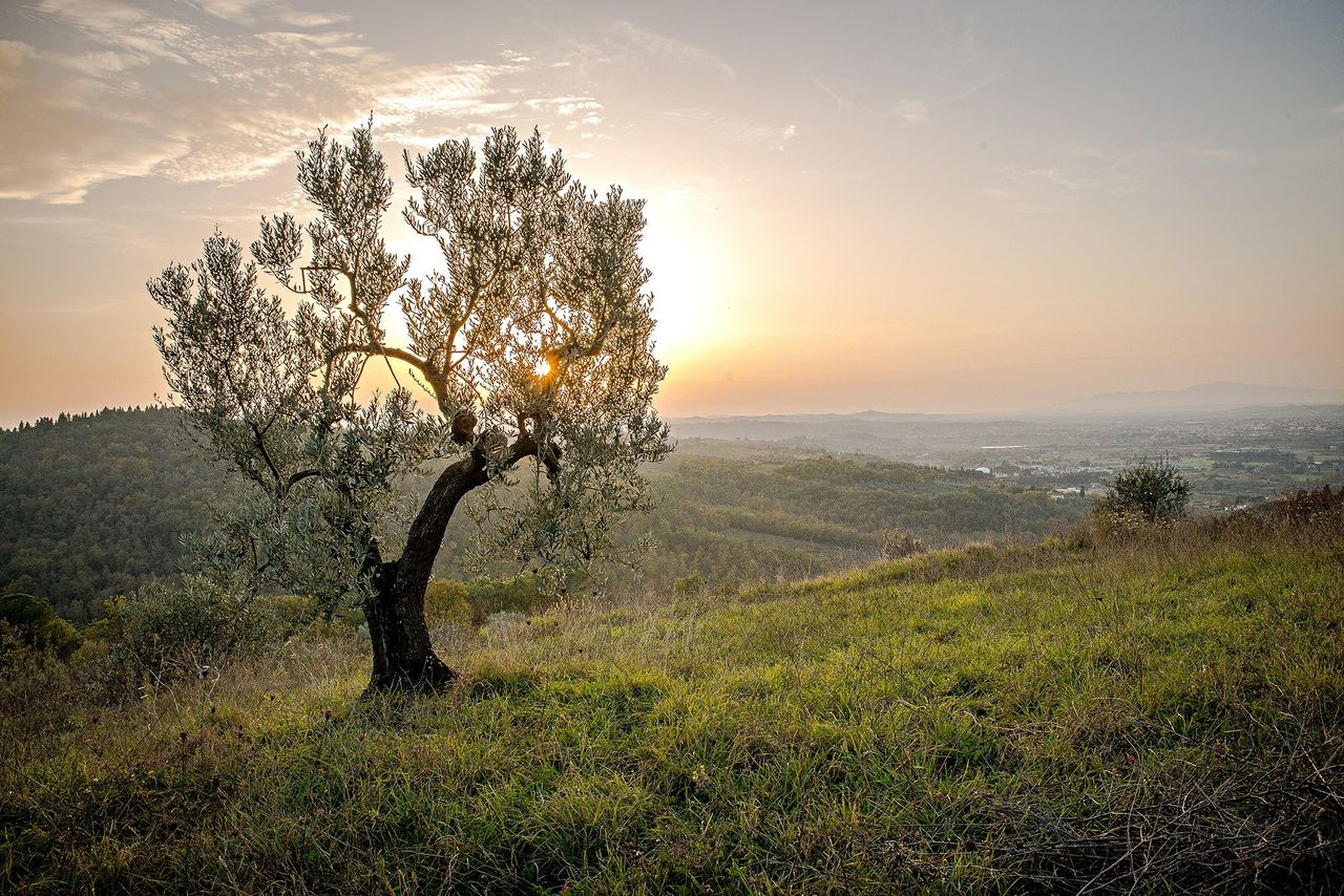 ‘Transparency’ needed when it comes to ‘net zero’ and ‘carbon neutral’ claims