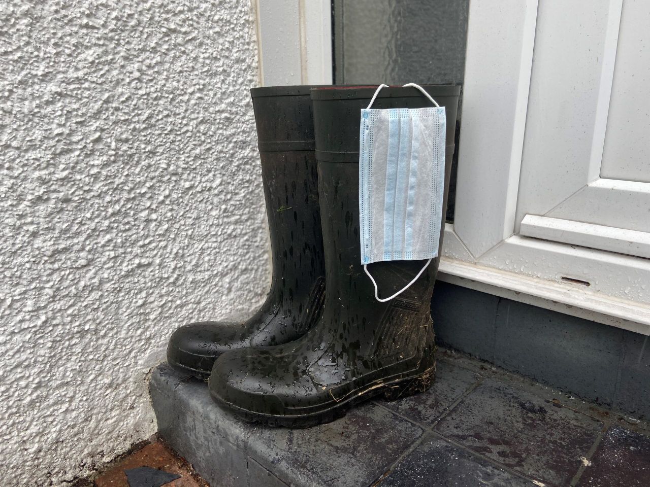 NFU Scotland calls for Covid-19 compliance from farmers and crofters