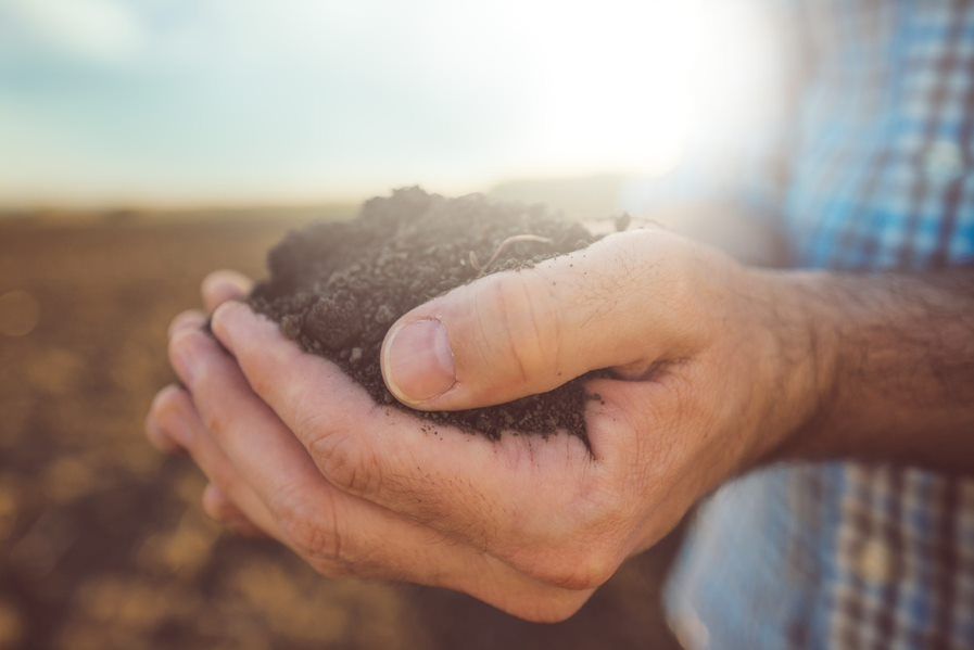 NIAB Soil Hole to be demonstrated at Cereals