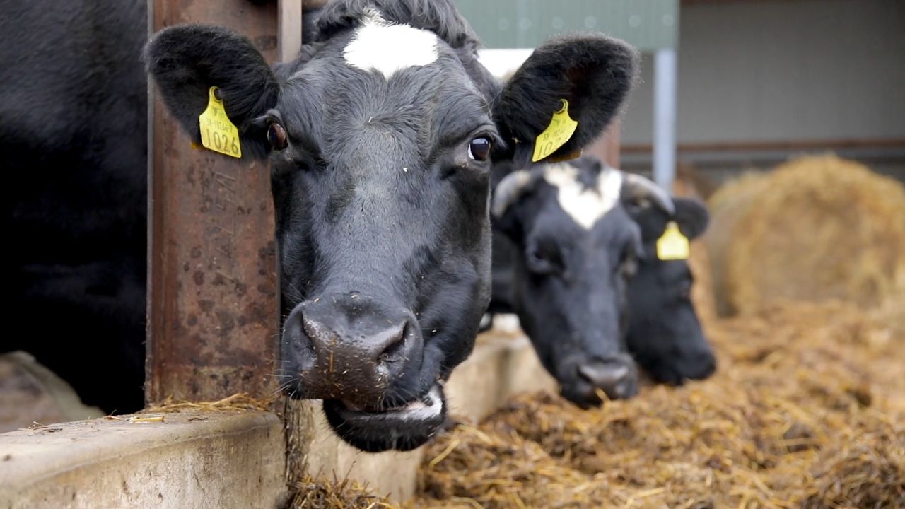 New £12 million fund aims to boost investment in UK agriculture