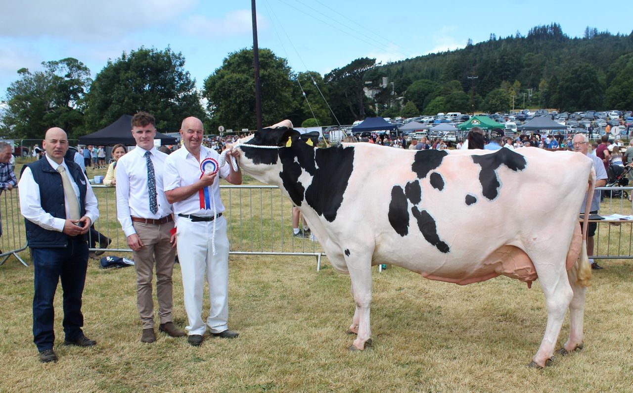 Holstein fifth calver earns plaudits at Castlewellan Show 2026