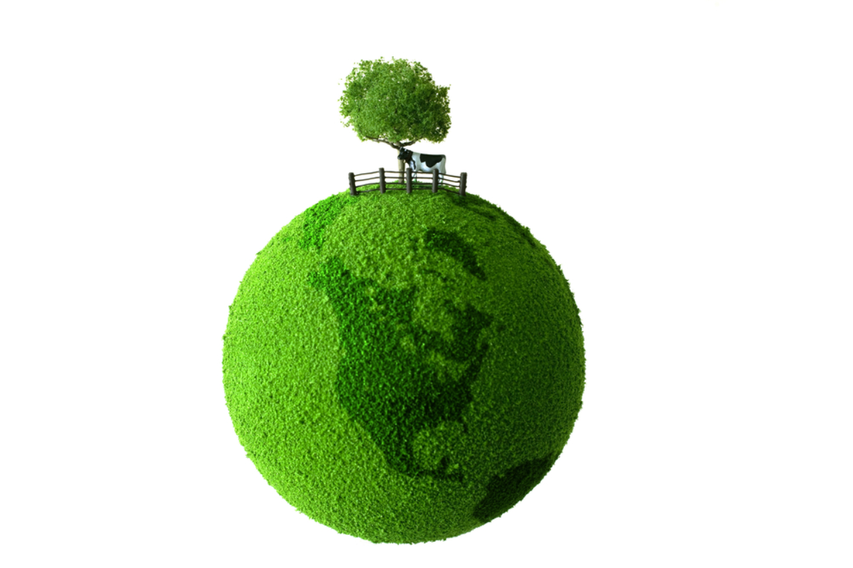 Global leaders call for reduction in antimicrobials used in food systems